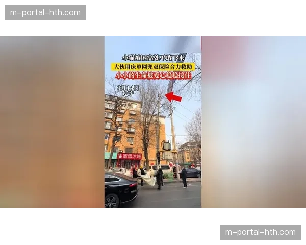 通讯：雷恩与南特比赛因突发医疗事件中断，双方队医合力救助看台球迷